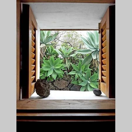 הוילה פרונטרה Casa Agave 1 מראה חיצוני תמונה